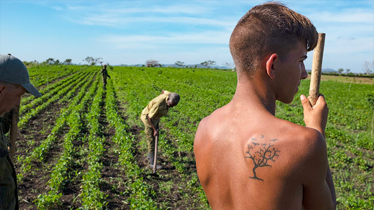 Cuba boy works for sustainable agriculture.